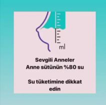 Dilara Ünal - Gebze Gayrimenkul - 