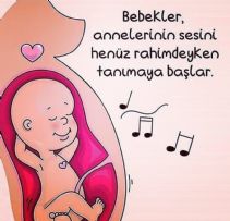 Dilara Ünal - Gebze Gayrimenkul - 